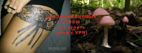 ALPHA-PVP Алексеевка